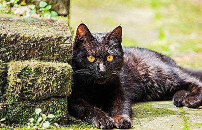 《战区2.0》仍需《使命召唤19》启动器下载引玩家困扰